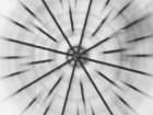 Abstract motion blur with black lines and white background. Art Print